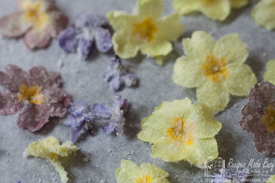 How to make Crystallised Flowers Recipes Made Easy