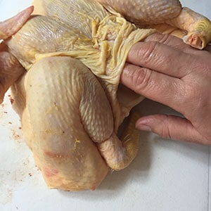 Carefully lift the skin from the breast of the chicken. Carefully lift the skin from the breast of the chicken.