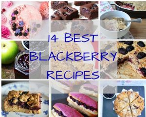 14 Best Blackberry Recipes | Recipes Made Easy