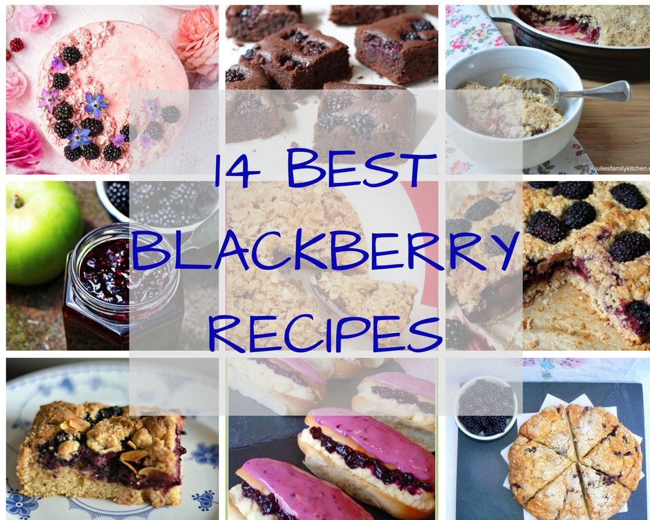 composite shot of blackberry recipes