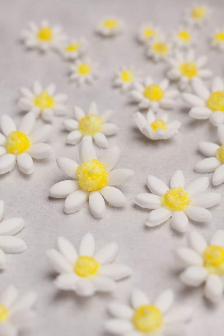 How To Make Easy Sugar Daisies Recipes Made Easy