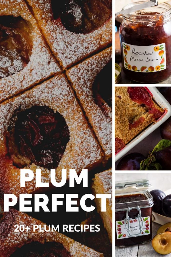 4 plum recipes text over lay Plum Perfect over 20 plum recipes