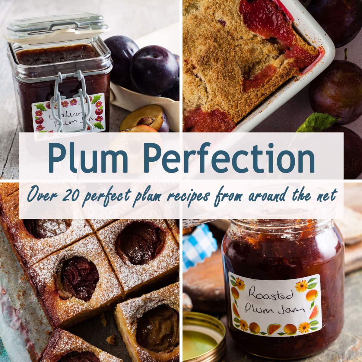 4 plum recipes in a collage with text over lay - Plum Perfection over 20 perfect plum recipes from around the net.