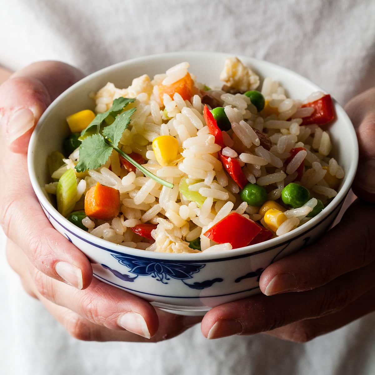 hands holding a bowl of egg fried rice